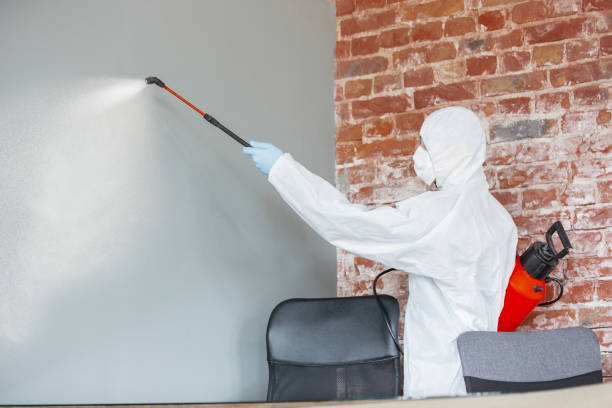 Best Dehumidification Services  in Odessa, FL