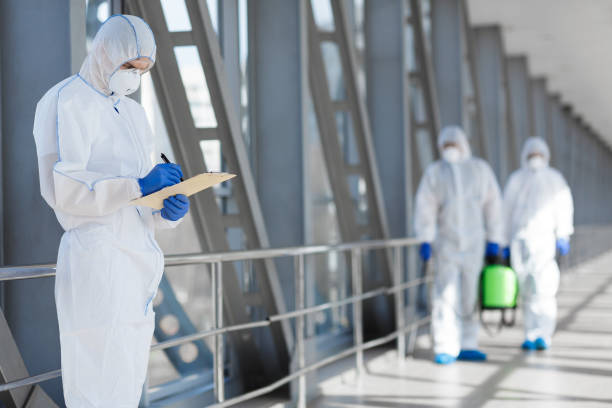 Trusted Odessa, FL Mold Removal Experts