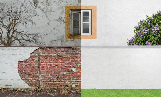 Best Water Damage & Mold Remediation  in Odessa, FL